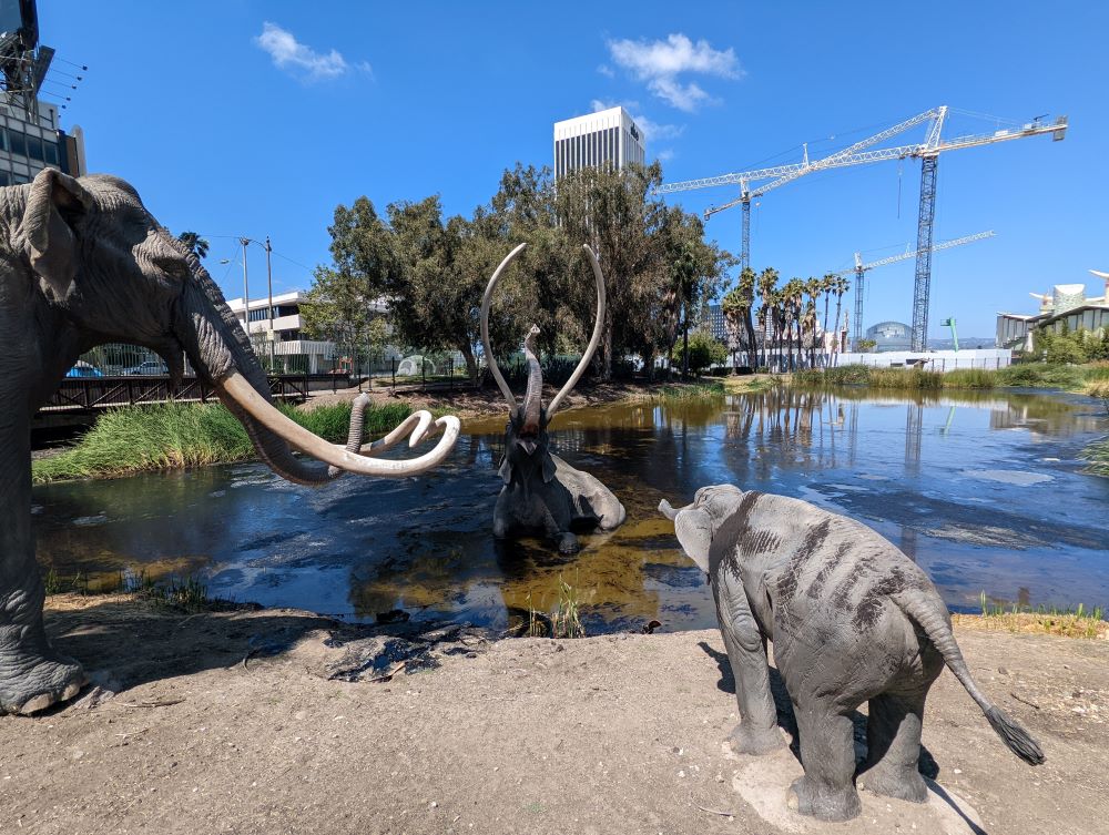 La Brea Tar pits: stinky paleontological research (California)